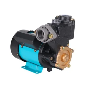 Pompa Air Shallow Pump Pw-131E Wasser