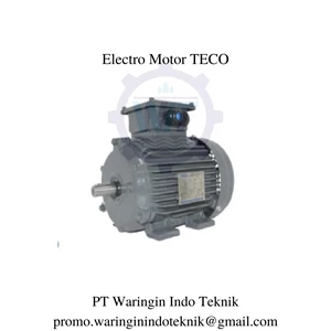 Electro Motor TECO 10 HP 7.5 KW Dinamo Pompa