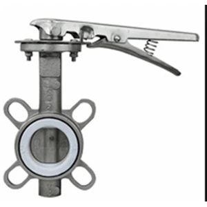 Butterfly Valve sus316 Seat PTFE Size 1 Inch