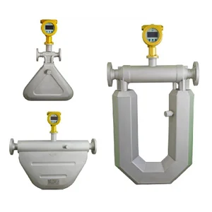 Coriolis Mas Flow Meter (GPE F1001)
