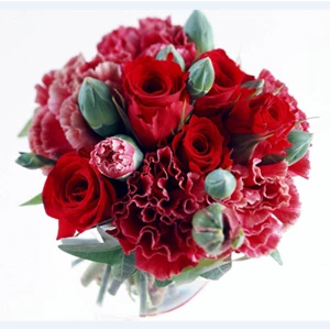 Bunga Bouquet Mawar Merah Segar