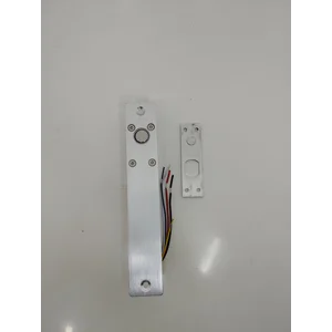 Smart Dropbolt Akses Kontrol Elektrik 