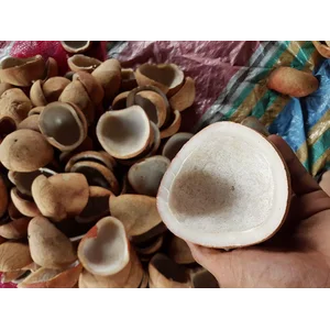 Buah Kering Kopra Putih