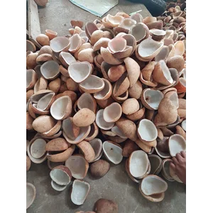Buah Kering Kopra Putih