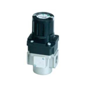 Smc Regulator With Bulit In Pressure Gauge Arg 