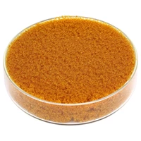 Ion Exchange Resin