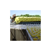 Fruit and Vegetable Processing Machinery