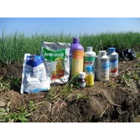 Pesticides Product