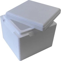 Box Styrofoam