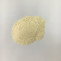 Chemical Catalyst