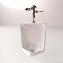 Urinal Image