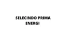 PT. Selecindo Prima Energi