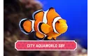 Toko City Aquaworld Surabaya