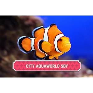 City Aquaworld Surabaya By Toko City Aquaworld Surabaya