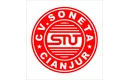 CV. Soneta