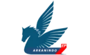 PT Arkanindo Energi Pratama