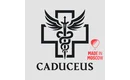 Caduceus LLC