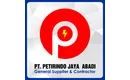 Petir Indonesia