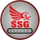 company logo