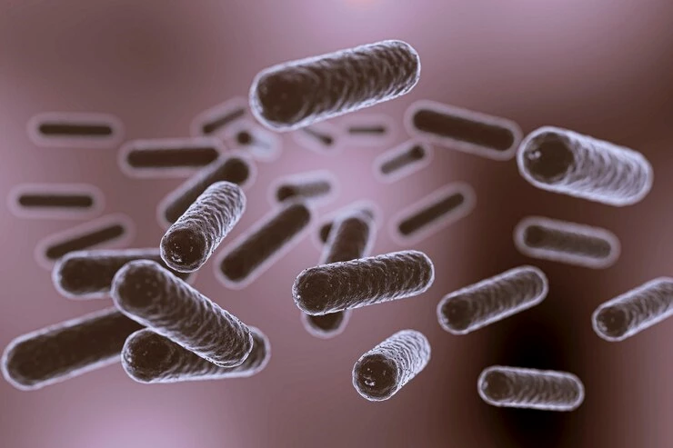 Peran Penting Bakteri Pengurai Tinja dalam Pengelolaan Limbah Industri