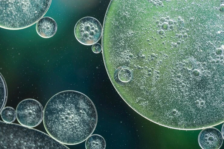 Strategi Pemeliharaan Bakteri Pengurai Limbah Minyak