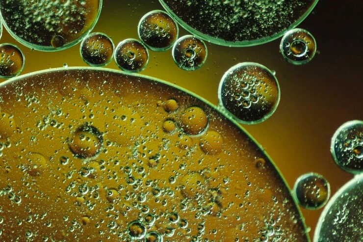 Peran Vital Bakteri Pengurai Limbah Minyak dalam Lingkungan